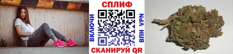 Где продают наркотики Опочка Галлюциногенные грибы  Cocaine  СК  Метамфетамин  Каннабис  Мефедрон 