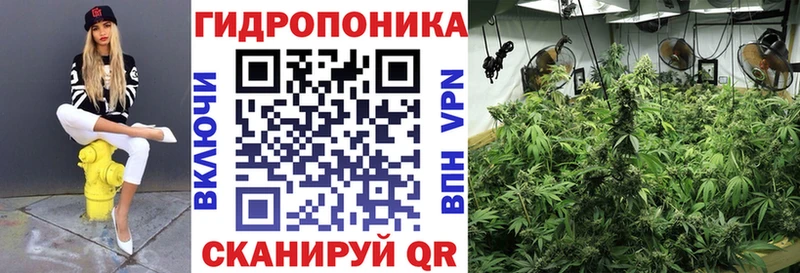 Канабис White Widow  Опочка 